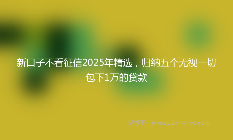 新口子不看征信2025年精选，归纳五个无视一切包下1万的贷款