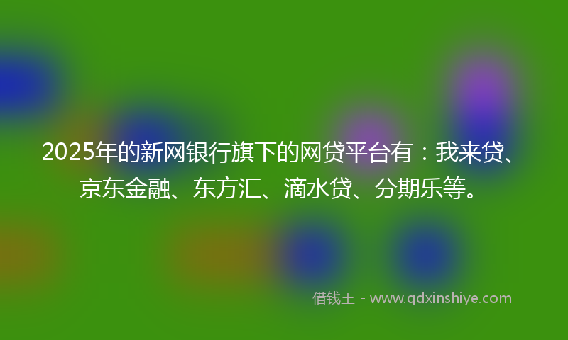 2025年的新网银行旗下的网贷平台有：我来贷、京东金融、东方汇、滴水贷、分期乐等。