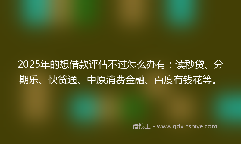 2025年的想借款评估不过怎么办有：读秒贷、分期乐、快贷通、中原消费金融、百度有钱花等。