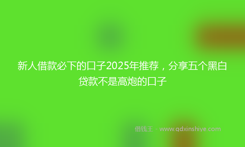 新人借款必下的口子2025年推荐，分享五个黑白贷款不是高炮的口子