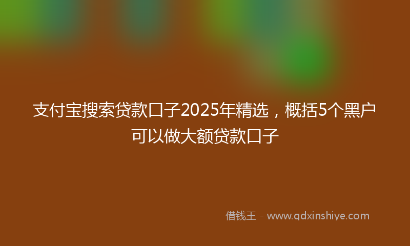 支付宝搜索贷款口子2025年精选，概括5个黑户可以做大额贷款口子