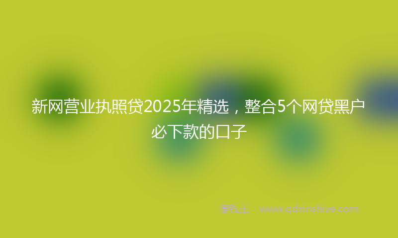 新网营业执照贷2025年精选，整合5个网贷黑户必下款的口子