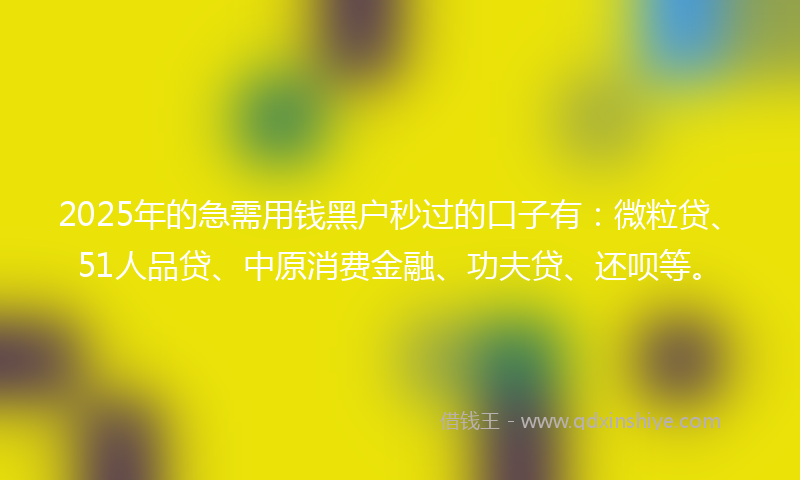 2025年的急需用钱黑户秒过的口子有：微粒贷、51人品贷、中原消费金融、功夫贷、还呗等。