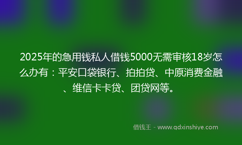 2025年的急用钱私人借钱5000无需审核18岁怎么办有：平安口袋银行、拍拍贷、中原消费金融、维信卡卡贷、团贷网等。