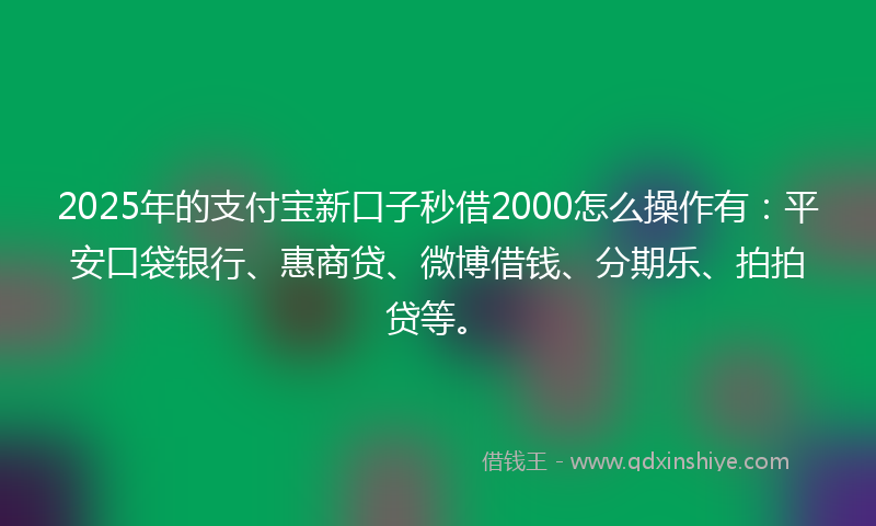 2025年的支付宝新口子秒借2000怎么操作有：平安口袋银行、惠商贷、微博借钱、分期乐、拍拍贷等。