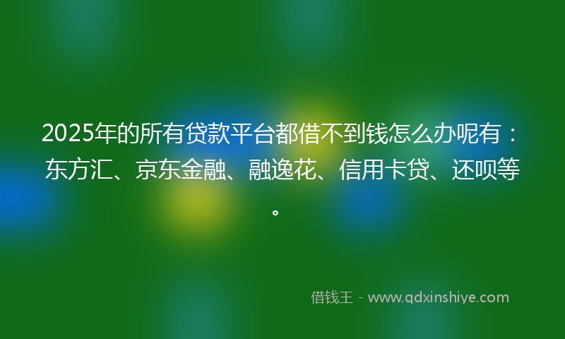 2025年的所有贷款平台都借不到钱怎么办呢有：东方汇、京东金融、融逸花、信用卡贷、还呗等。