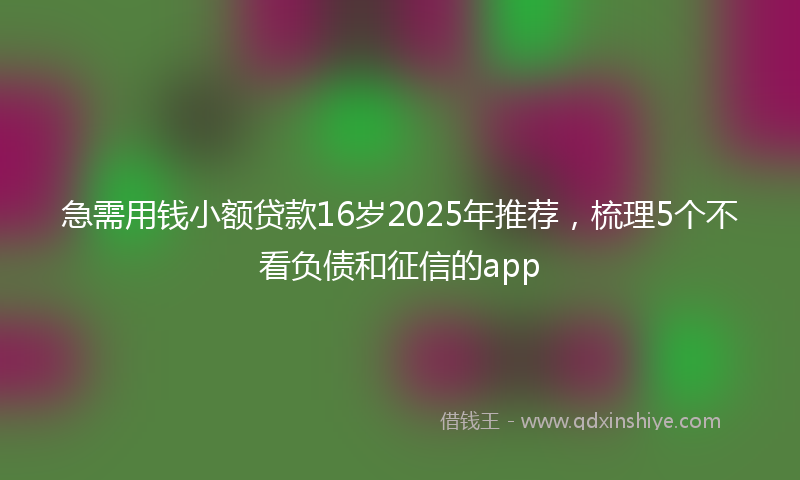 急需用钱小额贷款16岁2025年推荐，梳理5个不看负债和征信的app