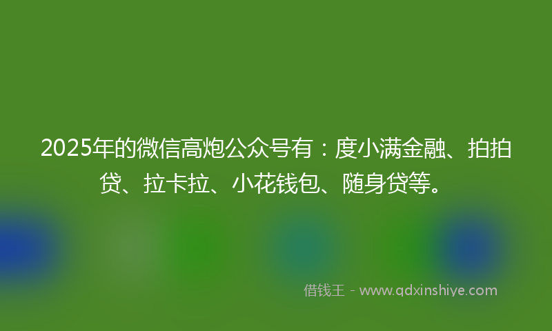 2025年的微信高炮公众号有：度小满金融、拍拍贷、拉卡拉、小花钱包、随身贷等。
