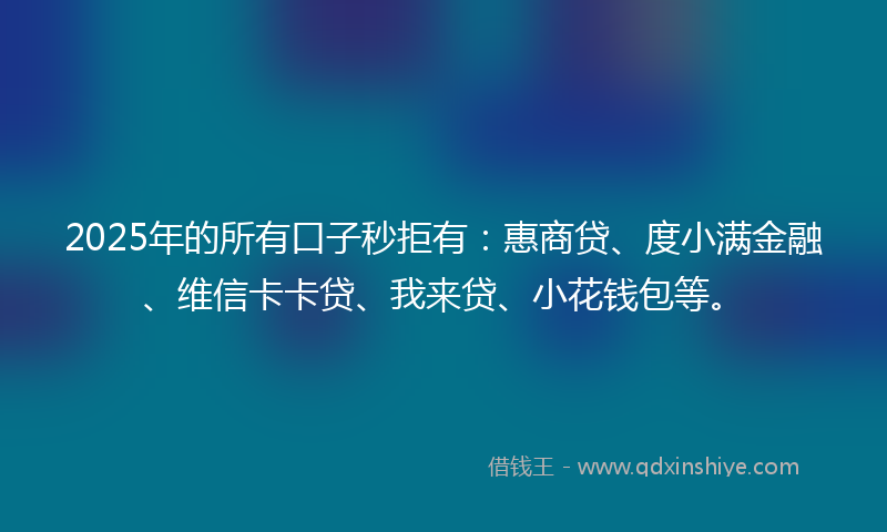 2025年的所有口子秒拒有：惠商贷、度小满金融、维信卡卡贷、我来贷、小花钱包等。