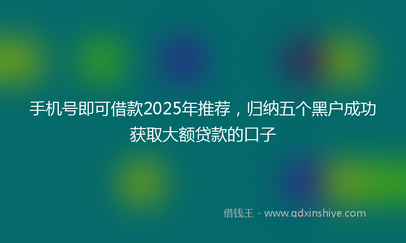 手机号即可借款2025年推荐，归纳五个黑户成功获取大额贷款的口子