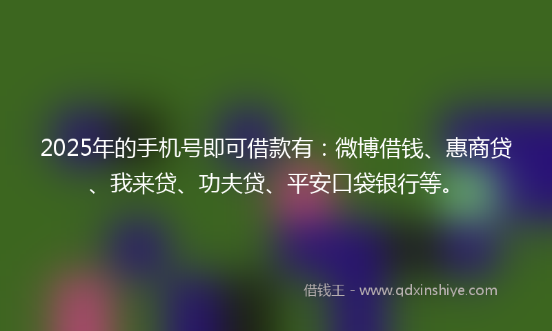 2025年的手机号即可借款有：微博借钱、惠商贷、我来贷、功夫贷、平安口袋银行等。