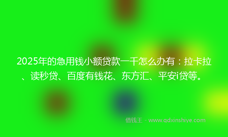 2025年的急用钱小额贷款一千怎么办有：拉卡拉、读秒贷、百度有钱花、东方汇、平安i贷等。