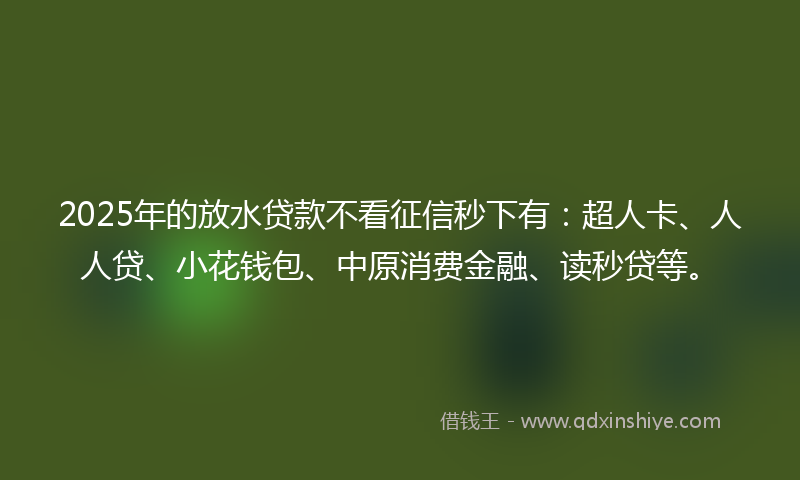2025年的放水贷款不看征信秒下有：超人卡、人人贷、小花钱包、中原消费金融、读秒贷等。
