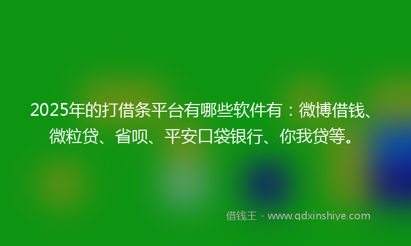 2025年的打借条平台有哪些软件有：微博借钱、微粒贷、省呗、平安口袋银行、你我贷等。