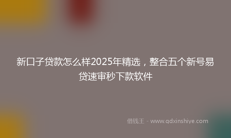 新口子贷款怎么样2025年精选，整合五个新号易贷速审秒下款软件