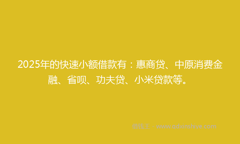 2025年的快速小额借款有：惠商贷、中原消费金融、省呗、功夫贷、小米贷款等。