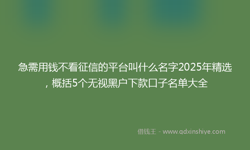 急需用钱不看征信的平台叫什么名字2025年精选，概括5个无视黑户下款口子名单大全