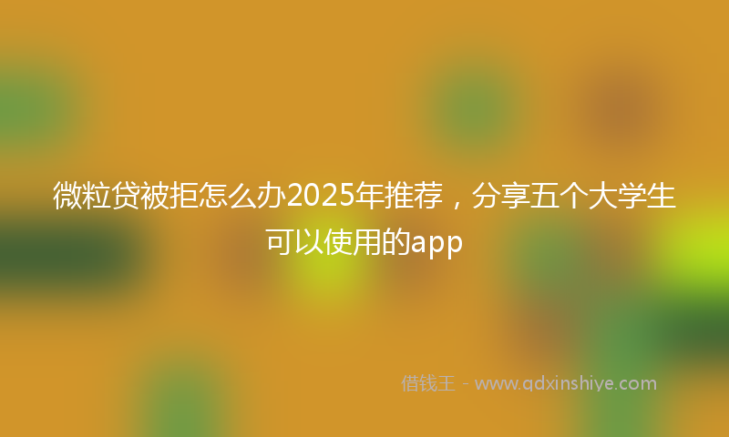 微粒贷被拒怎么办2025年推荐，分享五个大学生可以使用的app