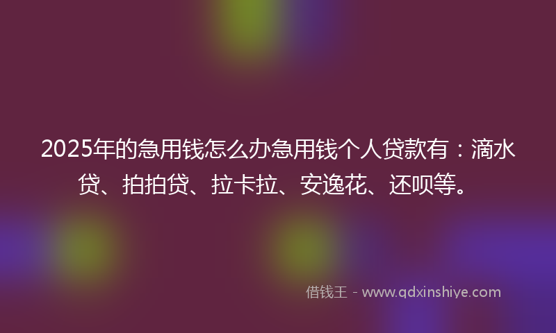 2025年的急用钱怎么办急用钱个人贷款有：滴水贷、拍拍贷、拉卡拉、安逸花、还呗等。