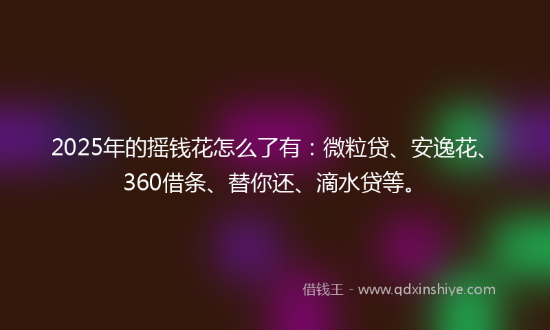 2025年的摇钱花怎么了有：微粒贷、安逸花、360借条、替你还、滴水贷等。