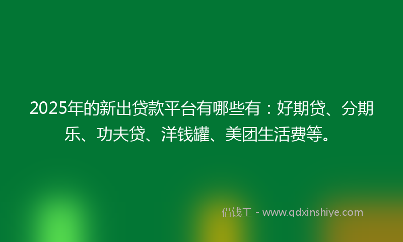 2025年的新出贷款平台有哪些有：好期贷、分期乐、功夫贷、洋钱罐、美团生活费等。