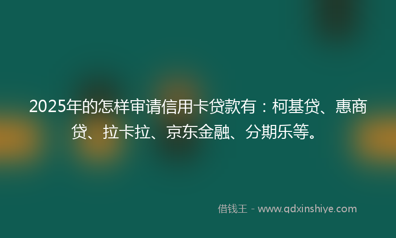 2025年的怎样审请信用卡贷款有：柯基贷、惠商贷、拉卡拉、京东金融、分期乐等。