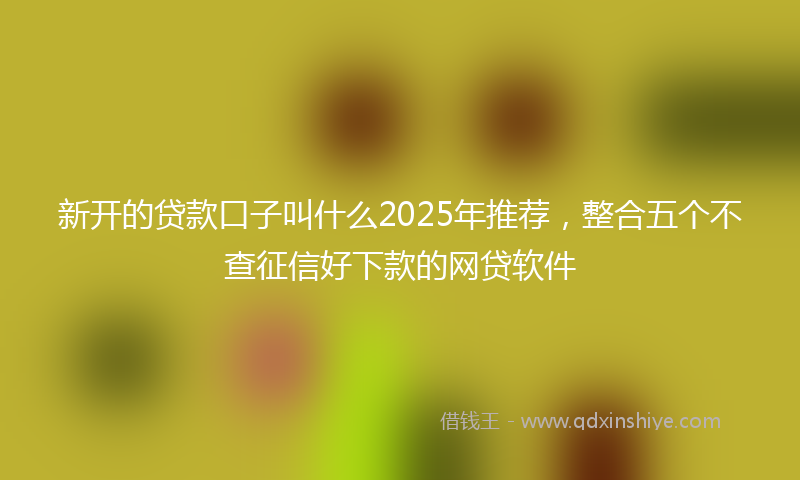 新开的贷款口子叫什么2025年推荐，整合五个不查征信好下款的网贷软件