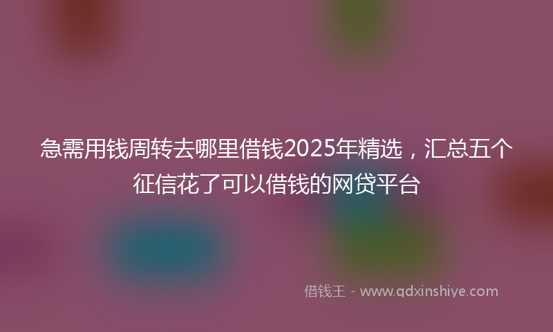 急需用钱周转去哪里借钱2025年精选，汇总五个征信花了可以借钱的网贷平台