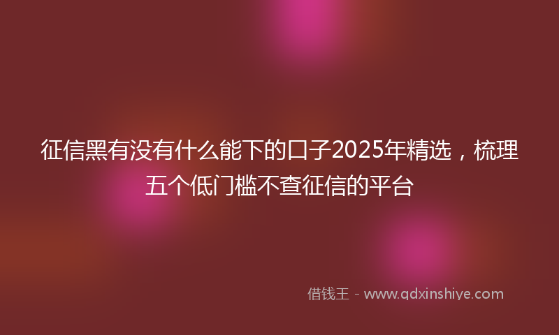 征信黑有没有什么能下的口子2025年精选，梳理五个低门槛不查征信的平台
