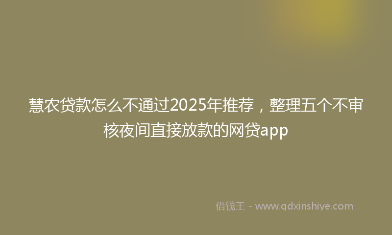 慧农贷款怎么不通过2025年推荐，整理五个不审核夜间直接放款的网贷app
