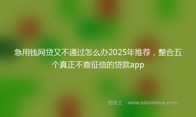 急用钱网贷又不通过怎么办2025年推荐，整合五个真正不查征信的贷款app