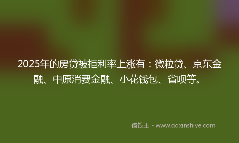 2025年的房贷被拒利率上涨有：微粒贷、京东金融、中原消费金融、小花钱包、省呗等。