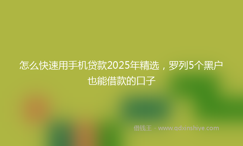 怎么快速用手机贷款2025年精选，罗列5个黑户也能借款的口子