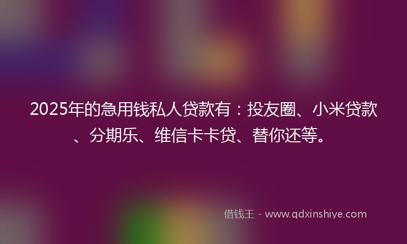 2025年的急用钱私人贷款有：投友圈、小米贷款、分期乐、维信卡卡贷、替你还等。