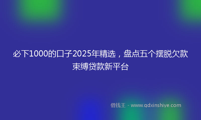 必下1000的口子2025年精选，盘点五个摆脱欠款束缚贷款新平台