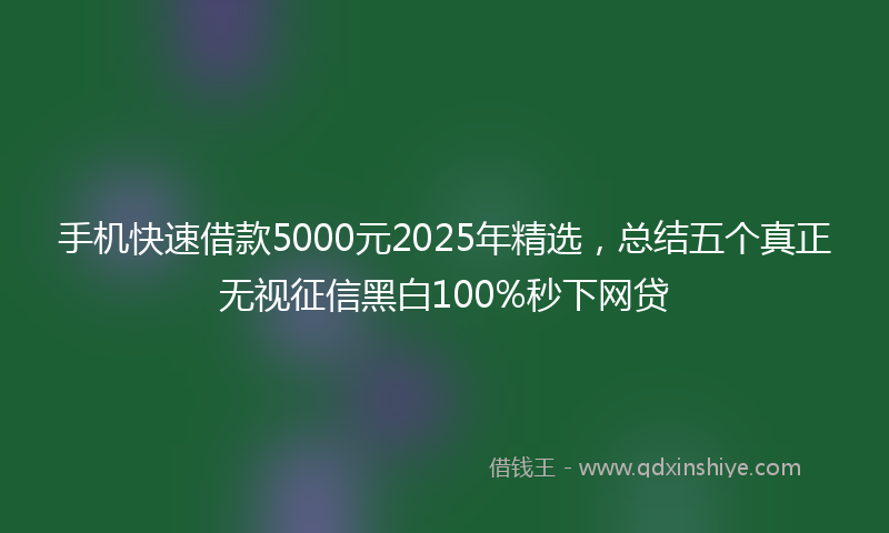 手机快速借款5000元2025年精选，总结五个真正无视征信黑白100%秒下网贷