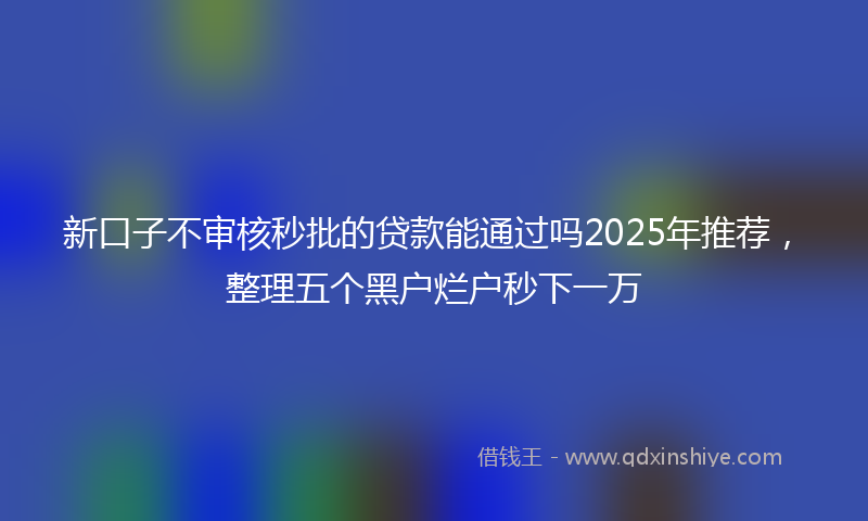 新口子不审核秒批的贷款能通过吗2025年推荐，整理五个黑户烂户秒下一万