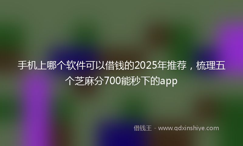 手机上哪个软件可以借钱的2025年推荐，梳理五个芝麻分700能秒下的app