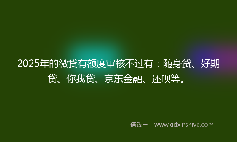 2025年的微贷有额度审核不过有：随身贷、好期贷、你我贷、京东金融、还呗等。