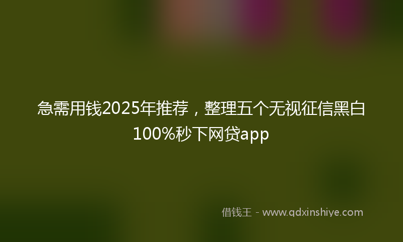 急需用钱2025年推荐，整理五个无视征信黑白100%秒下网贷app