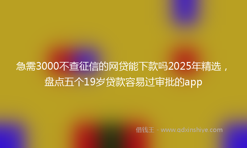 急需3000不查征信的网贷能下款吗2025年精选，盘点五个19岁贷款容易过审批的app