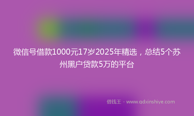 微信号借款1000元17岁2025年精选，总结5个苏州黑户贷款5万的平台