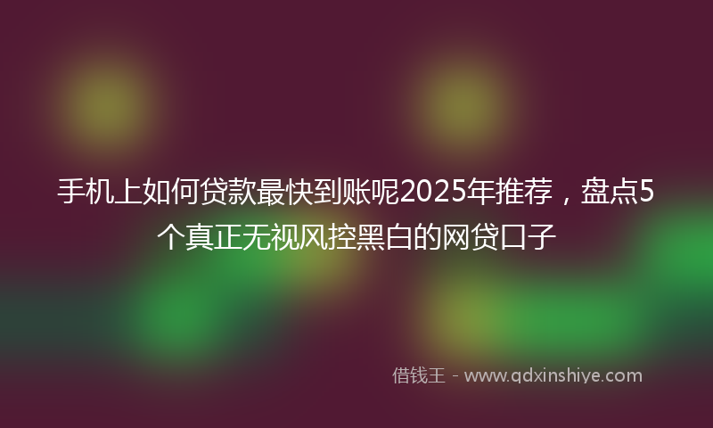 手机上如何贷款最快到账呢2025年推荐，盘点5个真正无视风控黑白的网贷口子