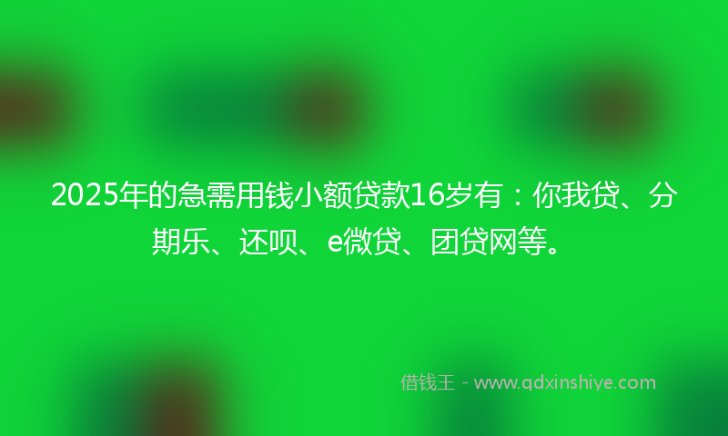 2025年的急需用钱小额贷款16岁有：你我贷、分期乐、还呗、e微贷、团贷网等。