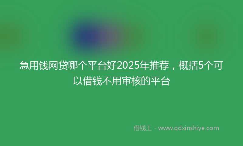 急用钱网贷哪个平台好2025年推荐，概括5个可以借钱不用审核的平台