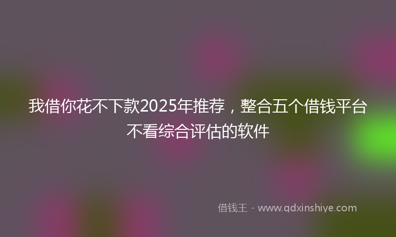我借你花不下款2025年推荐，整合五个借钱平台不看综合评估的软件