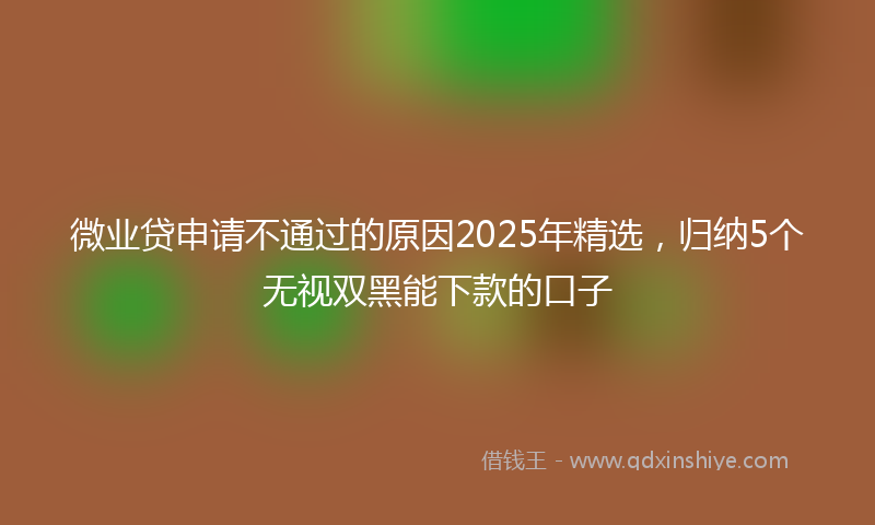 微业贷申请不通过的原因2025年精选，归纳5个无视双黑能下款的口子