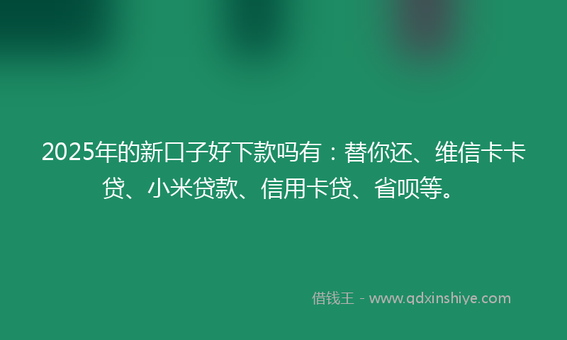 2025年的新口子好下款吗有：替你还、维信卡卡贷、小米贷款、信用卡贷、省呗等。