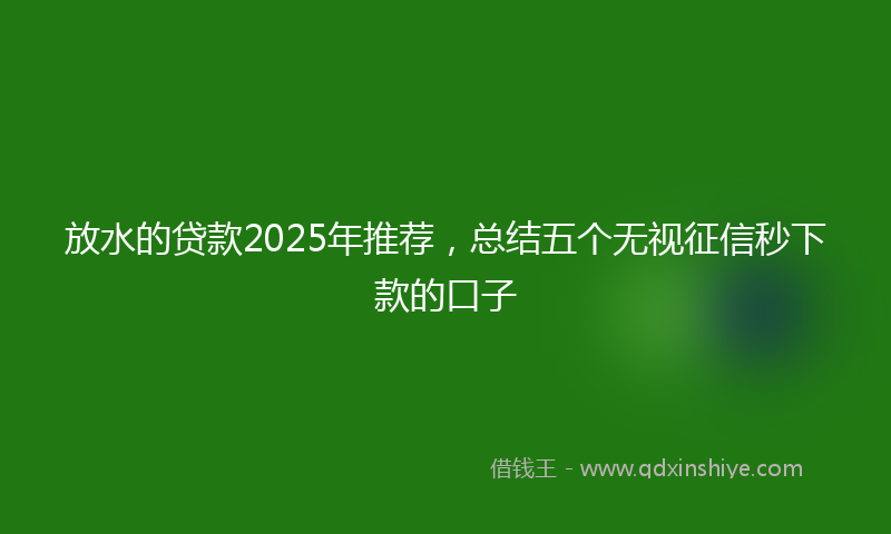 放水的贷款2025年推荐，总结五个无视征信秒下款的口子