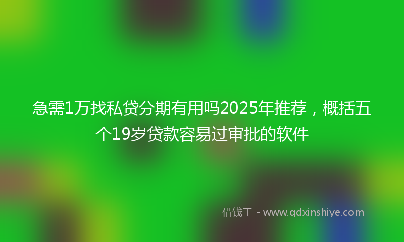 急需1万找私贷分期有用吗2025年推荐，概括五个19岁贷款容易过审批的软件